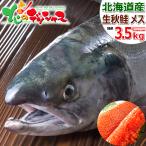 【予約】 北海道産 生秋鮭 3.5kg (メス 筋子付き/冷蔵品) 限定 旬 秋 秋鮭 秋しゃけ 秋シャケ ギフト 贈り物 プレゼント ご家庭用 北海道 グルメ お取り寄せ