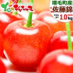 ショッピング中元 【予約】お中元 北海道 増毛産 さくらんぼ 佐藤錦 1kg (JA共撰/秀品/L/500g×2/手詰め/クール便) 2023 ギフト 贈り物 お礼 お返し 送料無料 お取り寄せ