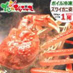 父の日 カニ ズワイガニ 900g×1尾 (姿/ボイル冷凍) 特大 ずわい蟹 2025 海鮮 お中元 ギフト 贈り物 贈答 お祝い 内祝い ご家庭用 かに 蟹 グルメ お取り寄せ