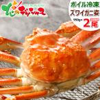 カニ ズワイガニ 950g×2尾 (姿/ボイル冷凍) 超特大 ずわい ずわい蟹 ズワイ蟹 2025 海鮮 ギフト 贈り物 お祝い 内祝い ご家庭用 かに 蟹 グルメ お取り寄せ