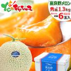 【予約】北海道 富良野メロン 6玉入り (共撰/秀品/1玉 1.3kg/常温便) 2025 夏ギフト お中元 ギフト 贈り物 暑中見舞い 残暑見舞い 果物 フルーツ お取り寄せ