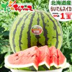 【予約】お中元 北海道産 らいでんスイカ 1玉 (JA共撰/特秀品/1玉 7.0kg/クール便) スイカ 2023 ギフト 贈り物 暑中見舞い 残暑見舞い 送料無料 お取り寄せ