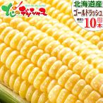 【予約】北海道産 とうもろこし ゴールドラッシュ 10本入り (冷蔵便) 朝採り トウモロコシ スイートコーン フルーツコーン 北海道 野菜 グルメ お取り寄せ