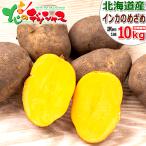 【予約】北海道産 新じゃが じゃがいも ご家庭用 インカのめざめ 10kg ジャガイモ 馬鈴薯 越冬 野菜 秋野菜 自宅用 北海道 食品 グルメ お取り寄せ