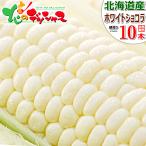 【予約】 北海道産 とうもろこし ホワイトショコラ 10本入り (冷蔵便) 朝採り トウモロコシ スイートコーン フルーツコーン 北海道 野菜 グルメ お取り寄せ