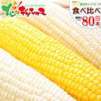 【予約】 とうもろこし 食べ比べ 80本 (白40本・黄40本/冷蔵便) 北海道産 南幌町明るい農村ネットワーク 朝採り トウモロコシ フルーツコーン お取り寄せ