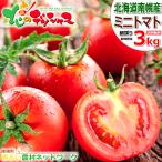 【終了間近】旬 北海道 南幌町産 ミニトマト 3種 詰め合わせ 3kg (おまかせ/冷蔵便) 南幌町明るい農村ネットワーク トマト ギフト ご家庭用 産地直送 お取り寄せ