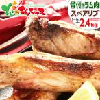 ¥é¥àÆù ¥¹¥Ú¥¢¥ê¥Ö ¹üÉÕ¤¥¹¥Ú¥¢¥ê¥Ö (2.4kg/40¡Á56ËÜÆþ¤ê/ÎäÅà) Æù ÍÓÆù Ʊº ¤Þ¤È¤áÇ㤤 BBQ ¾ÆÆù Ë̳¤Æ» ¥°¥ë¥á ÀéºÐ¥é¥à¹©Ë¼ ¤ª¼è¤ê´ó¤»