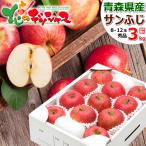 【予約】 青森県産 りんご サンふじ 3kg (秀品/8玉〜12玉入り) 旬 リンゴ ふじ ギフト 贈り物 お祝 内祝 プレゼント 果物 フルーツ 青森県 お取り寄せ