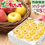 【販売終了】青森県産 りんご シナノゴールド 5kg (秀品/13玉〜20玉入り) 旬 リンゴ ギフト 贈り物 贈答 プレゼント のし 果物 山形県 産地直送 お取り寄せ