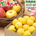 【予約】青森県産 ご家庭用 りんご シナノゴールド 10kg (訳あり/26玉〜46玉入り) 旬 リンゴ 訳あり わけあり 自宅用 果物 フルーツ お取り寄せ