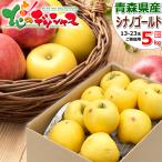 【予約】 青森県産 ご家庭用 りんご シナノゴールド 5kg (訳あり/13玉〜23玉入り) 旬 リンゴ 訳あり わけあり 自宅用 果物 フルーツ お取り寄せ