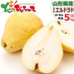 【予約】山形県産 西洋梨 エルドラド 5kg (秀品/10玉〜20玉入り) 西洋梨 洋梨 ギフト 贈り物 贈答 プレゼント のし 果物 フルーツ 山形県 お取り寄せ