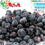 冷凍フルーツ 山形県産 ご家庭用 ブルーベリー 2kg (1kg×2袋/冷凍品) 国産 フローズンフルーツ 冷凍果物 冷凍フルーツ 無添加 無着色 果物 送料無料 お取り寄せ