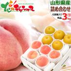 【出荷間近】山形の果実 2色詰め合わせ Aセット (秀品/白桃&和梨) 山形県産 白桃 和梨 ギフト 贈り物 お祝い 内祝い 山形県 果物 フルーツ お取り寄せ