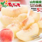 [ reservation ] Yamagata prefecture production . home use white peach 5kg (13 sphere ~22 sphere entering / cool refrigeration flight ) with translation north. peach source . home for profit popular fruit Yamagata prefecture direct delivery from producing area free shipping your order 