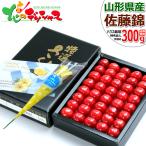 【予約】父の日 プレゼント さくらんぼ 佐藤錦 300g (特秀品/L/手詰め/クール冷蔵便) 2025 ギフト 贈り物 フルーツ 黄色いバラ 父の日カード