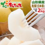 ショッピング梨 【予約】山形県産 和梨 かおり梨 2kg (秀品/3玉〜5玉入り) 旬 秋の味覚 和梨 かおり かおり梨 香梨 贈り物 贈答 山形県 送料無料 お取り寄せ