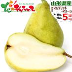 【予約】 山形県産 西洋梨 マルゲリット・マリーラ 5kg (秀品/7玉〜18玉入り) 秋の味覚 洋梨 フルーツ 贈り物 贈答 山形県 送料無料 お取り寄せ