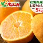 【予約】 産地厳選 国産 みかん 甘夏 5kg (秀品/L-2L/常温便) あまなつ アマナツ 柑橘 柑橘類 ミカン 蜜柑 ギフト 贈り物 果物 フルーツ お取り寄せ