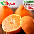 【予約】 産地厳選 国産 ご家庭用 みかん ぽんかん 3kg (訳あり/S-2L/常温便) 柑橘 柑橘類 ミカン 蜜柑 わけあり お家用 お得 果物 フルーツ お取り寄せ