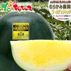 【出荷間近】山形県産 スイカ ゴールデンジャック 1玉 (秀品/1玉 約6kg×1玉) むらかみ農園 夏すいか 残暑見舞い お盆 お供え ギフト ご家庭用 果物 お取り寄せ