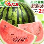 【予約】山形県産 尾花沢すいか 2玉 (秀品/1玉 約8kg×2玉) 尾花沢 夏スイカ 西瓜 大玉 秋ギフト お歳暮 お盆 お供え ギフト 人気 送料無料 お取り寄せ