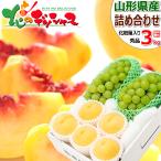 【予約】 山形の果実 2色詰め合わせ Bセット (秀品/黄桃&シャインマスカット) 山形県産 黄桃 ギフト 贈り物 お祝い 内祝い 山形県 果物 フルーツ お取り寄せ