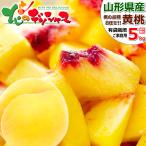 【予約】 山形県産 ご家庭用 黄桃 5kg (有袋栽培/13玉〜22玉入り/クール冷蔵便) もも モモ 桃 訳あり ご家庭用 フルーツ 山形県 産地直送 お取り寄せ