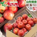 【予約】 山形県産 ご家庭用 りんご 紅玉 5kg (訳あり/20玉〜30玉入り) 林檎 青森県産 産地リレー わけあり フルーツ 山形県 産地直送 送料無料 お取り寄せ