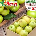 【予約】山形県産 ご家庭用 りんご 王林 5kg (訳あり/13玉〜23玉入り) 旬 リンゴ 訳あり わけあり 自宅用 果物 フルーツ 産地直送 お取り寄せ