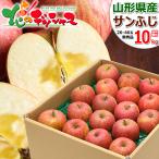 【予約】 山形県産 ご家庭用 りんご サンふじ 10kg (準秀品/26玉〜46玉入り) リンゴ 林檎 ふじ さんふじ 訳あり わけあり 自宅用 果物 産地直送 お取り寄せ