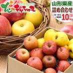 【予約】山形県産 ご家庭用 りんご サンふじ&シナノゴールド 10kg (訳あり/26玉〜46玉入り) リンゴ 訳あり わけあり 果物 フルーツ お取り寄せ
