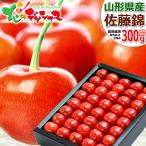 【予約】山形県産 さくらんぼ 佐藤錦 300g (特秀品/2Lサイズ/手詰め/化粧箱入り/クール冷蔵便) 鏡詰め 露地 ギフト 贈り物 山形 産地直送 お取り寄せ
