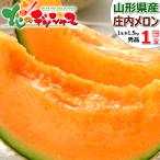 【予約】山形県産 庄内砂丘メロン (赤肉) 1玉 (秀品/1玉 約1.5kg) 庄内メロン 夏ギフト お中元 ギフト 贈り物 プレゼント 山形県 送料無料 お取り寄せ