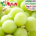 【予約】山形県産 ぶどう ご家庭用 シャインマスカット 5kg (6〜12房入り) 訳あり 旬 秋 秋の味覚 ブドウ 葡萄 ご家庭用 果物 フルーツ 山形県 お取り寄せ