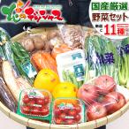 【出荷中】野菜セット おまかせ C (果物2品＋野菜9種類以上保証) 旬 野菜 果物 野菜詰合せ 家庭用 食品 グルメ 山形県 産地直送 送料無料 お取り寄せ