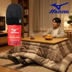 ショッピングトラベル ミズノ MIZUNO メンズ 保温 洗える ルームシューズ バンド付き 紳士 断熱 撥水 動きやすい お家 部屋 アルミシート トラベル
