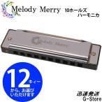 【23時間以内発送】MelodyMerry 10ホールズハーモニカ MH-100 ブルースハーモニカ 10穴ハーモニカ メロディーメリー