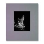 【特典トートバッグ付き】i shall sing these songs beautifully by Yorgos L