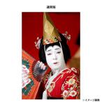 【ポイント10倍】「五代目 尾上菊之助」