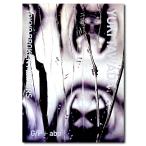 BROKEN MIRRORS thegirlwhowaspluggedin　多和