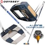 (期間限定) オデッセイ Ai-ONE 