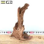 送料550円対応 No,320 ADAホーンウッド風流木 Sサイズ　約10〜25cm