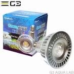 送料無料 ボルクスジャパン Grassy LeDio RX201 Marine/マリン