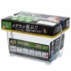 カミハタ みじんこ畑