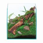  бесплатная доставка ( Hokkaido Okinawa за исключением ) Kotobuki Regulus nature 300