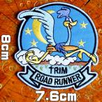 ミリタリーワッペン アップリケ パッチ【ロードランナー・VAH-21 TRIM 重攻撃飛行隊】夜間爆撃 アメカジ ワッペン アニマル 鳥 糊付き