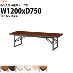 折りたたみテーブル 座卓 TE-1275 (共貼り) W1200XD750XH330mm 折りたたみ座卓テーブル 折畳 会議用テーブル 長机 集会場 公民館 塾