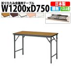 会議用テーブル 折りたたみ TWS-1275TN W1200xD750xH700mm 塗装脚 パネルなし 棚なし 会議テーブル 折り畳み 折畳 ミーティングテーブル 長机